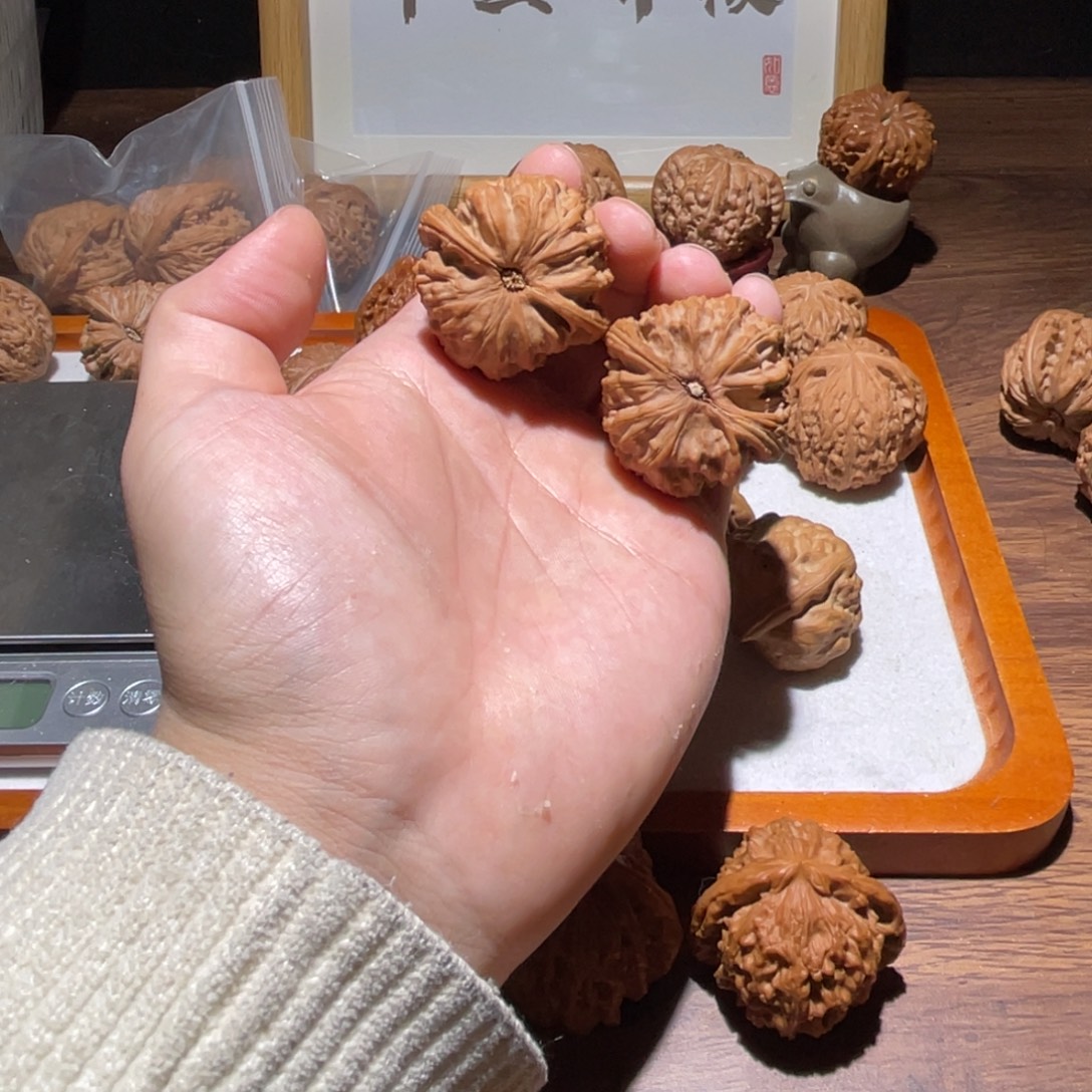 把件文玩核桃40全品白狮子