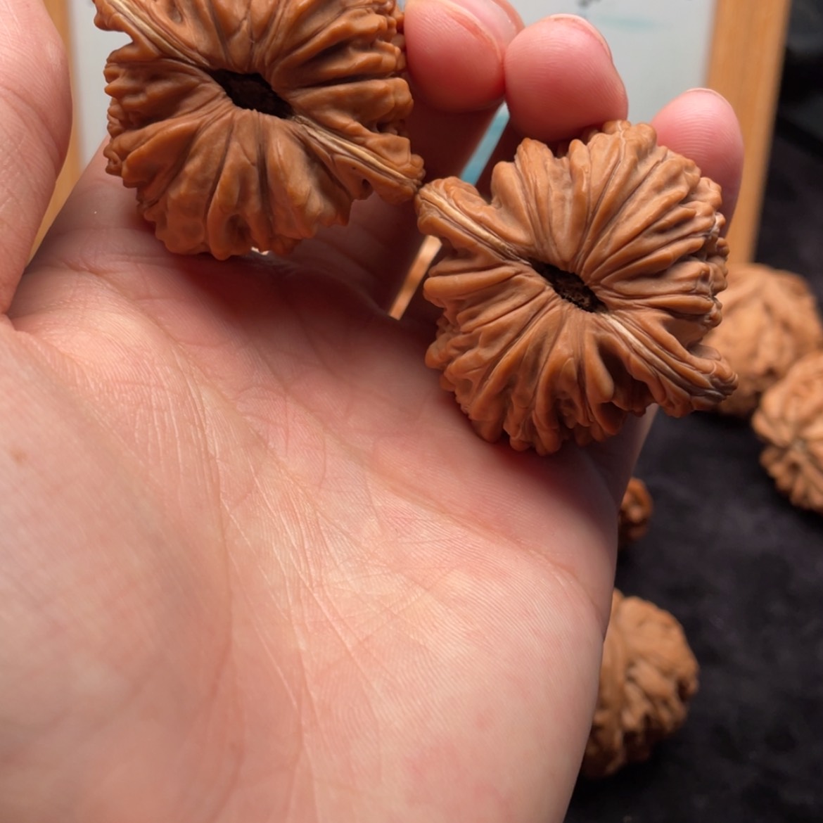 【闪购商品】文玩核桃把件全品大尺寸老树楼反油