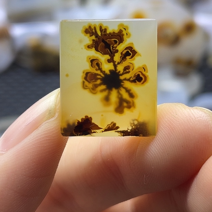 未镶嵌颈饰玛瑙/玉髓