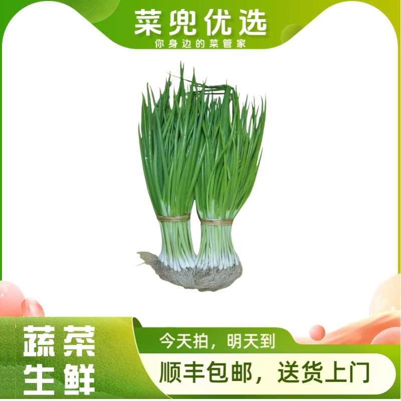 产地小葱约250g/份葱