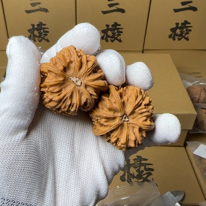 文玩核桃吊坠零***单简单包装41尺寸玉龙三棱