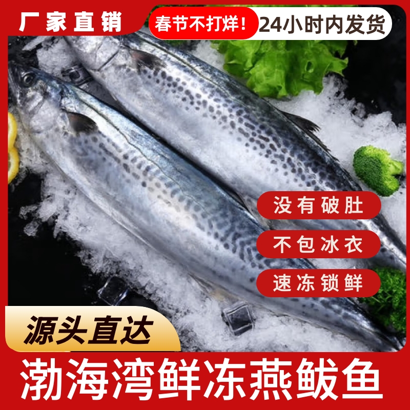 丛漪【到手5斤】渤海湾鲜冻燕鲅鱼蓝点马鲛鱼不包冰无破肚中秋送礼