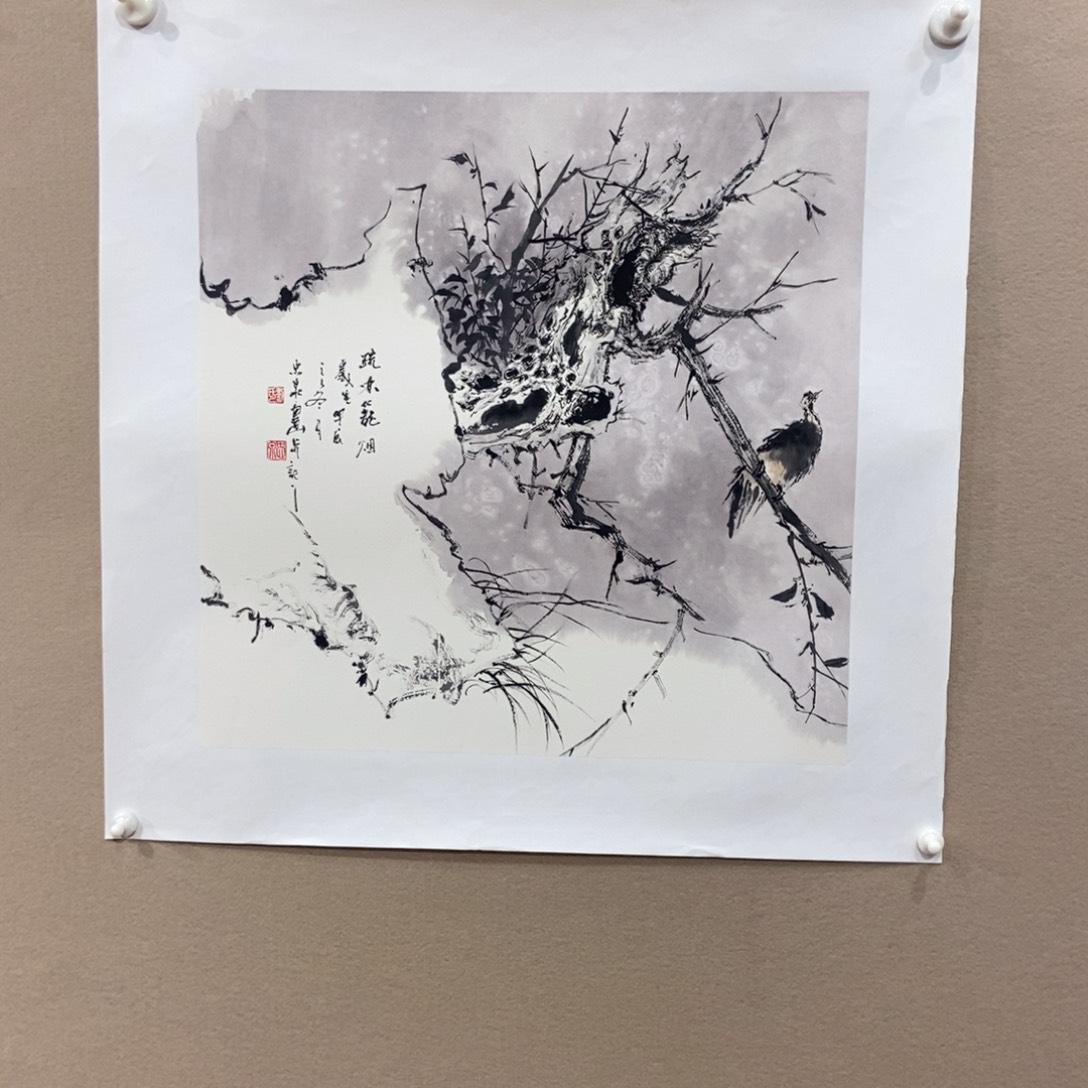 【闪购商品】国画北*墨鱼精品墨鱼精品
