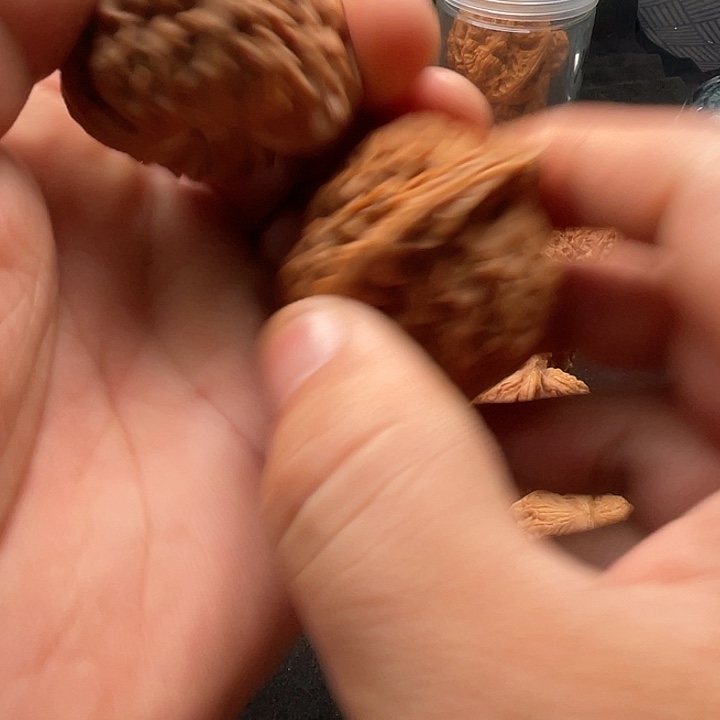 新***视核桃全品山地南疆石