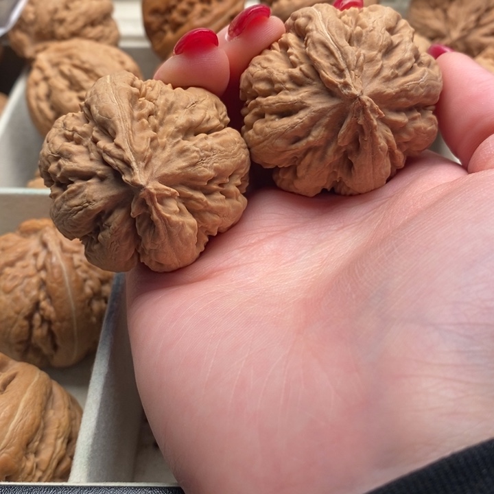 A***时把件文玩核桃霸王龙