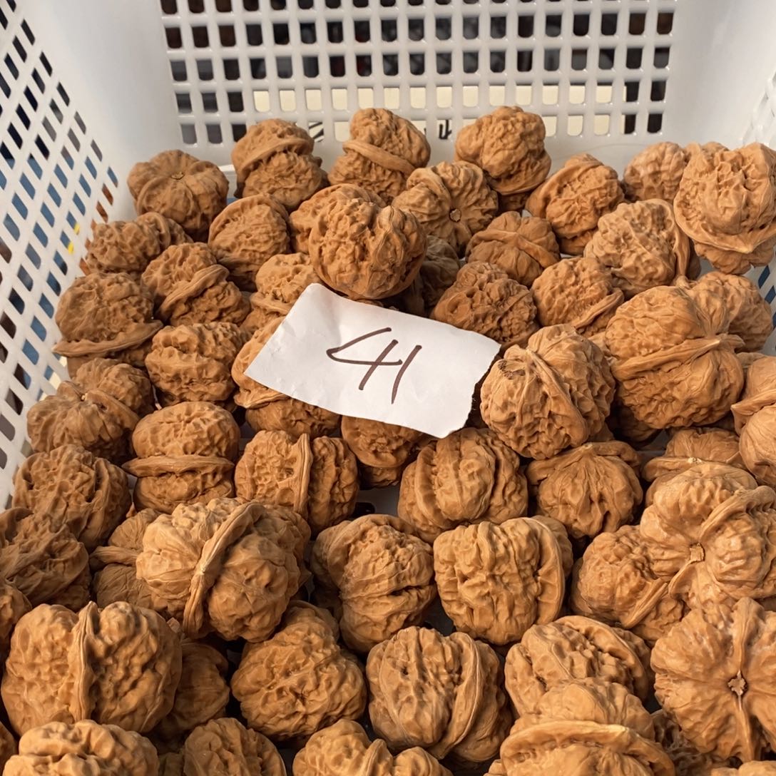 把件文玩核桃蛤蟆头水尖单只边41肚47，50个