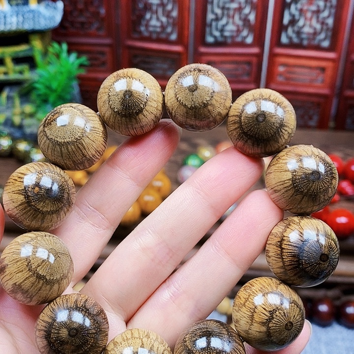 彯***海藤类手串/手链买麻藤