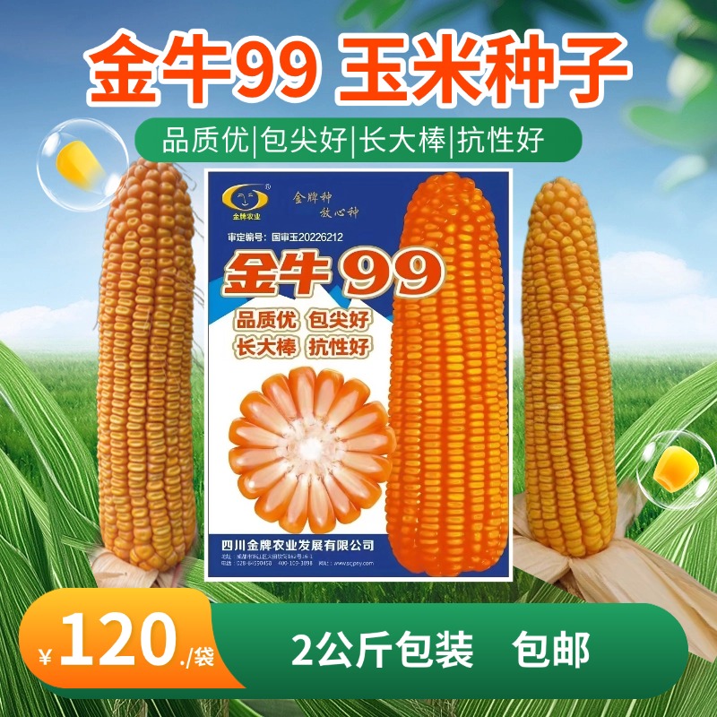 金牌农业放心种金牛99玉米种子