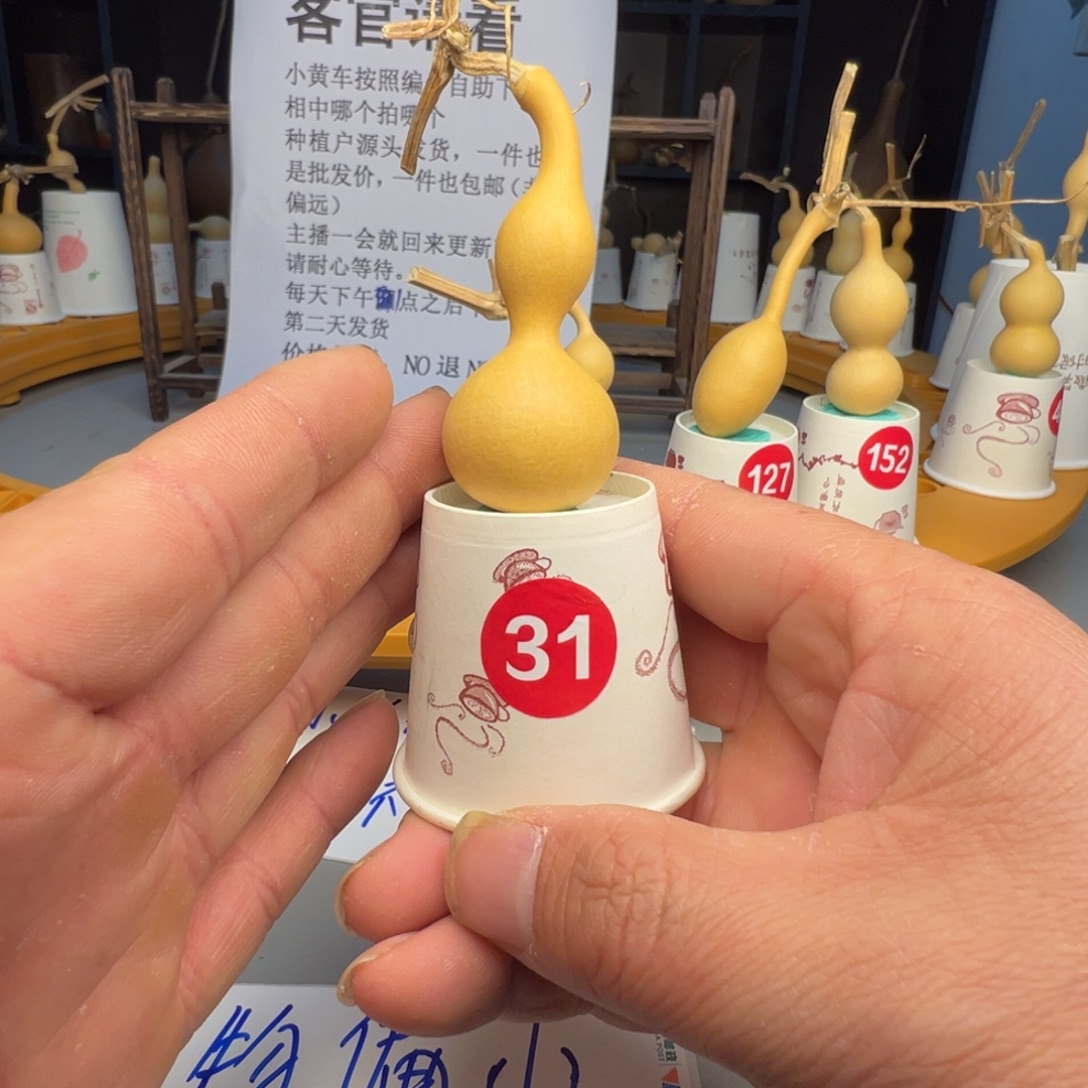 闪电购自助下单编号31