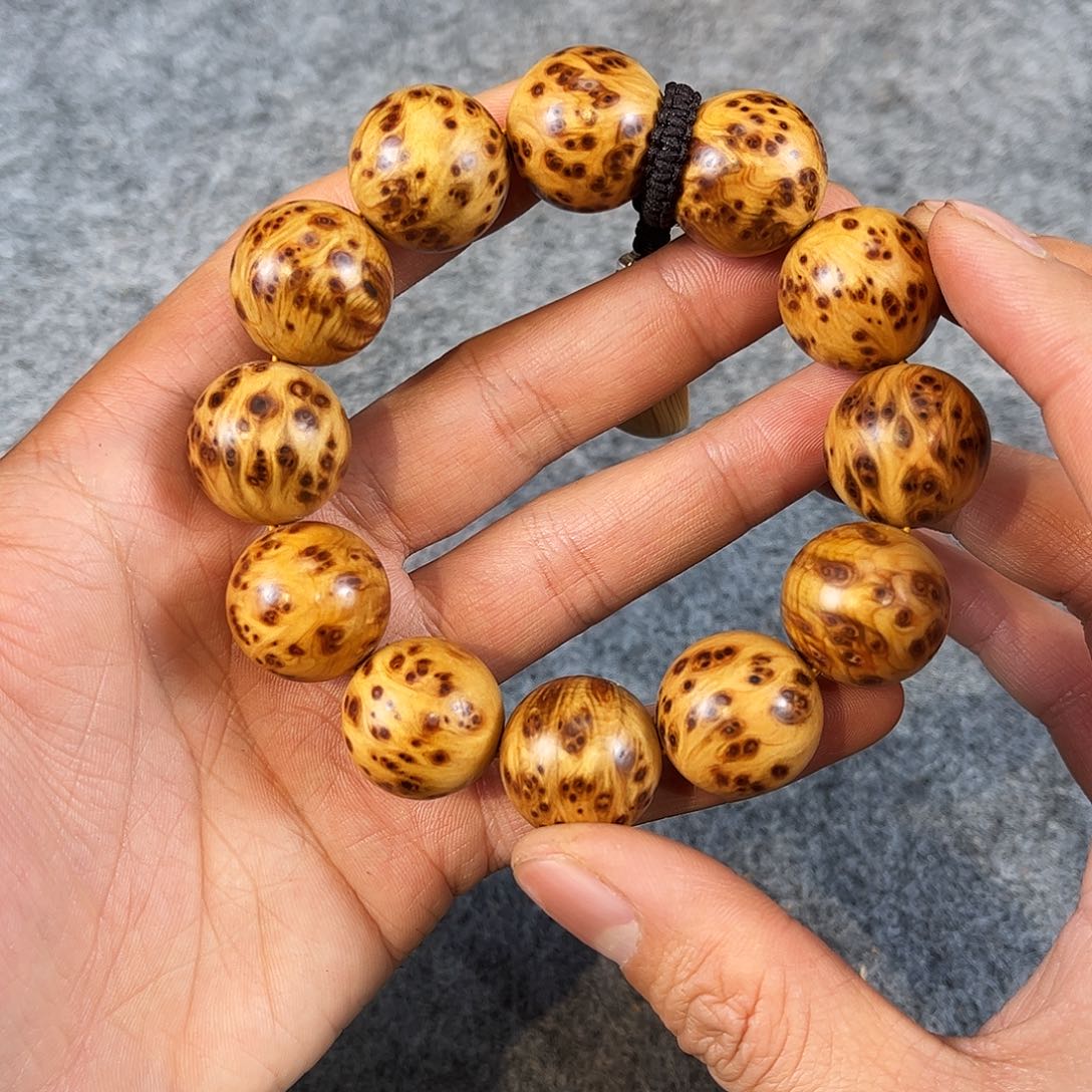 柏木（崖柏）精品2.0