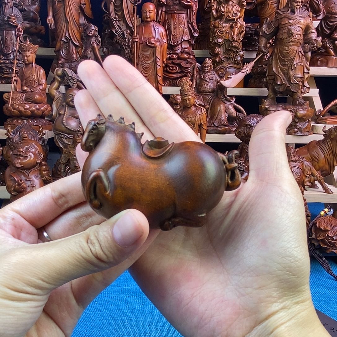 黄杨木小叶黄杨木