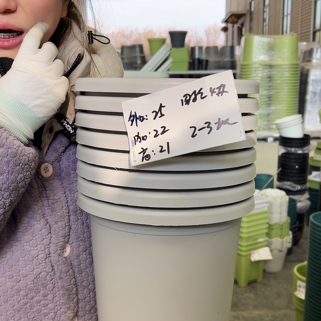 四季盆4#灰白10个无托