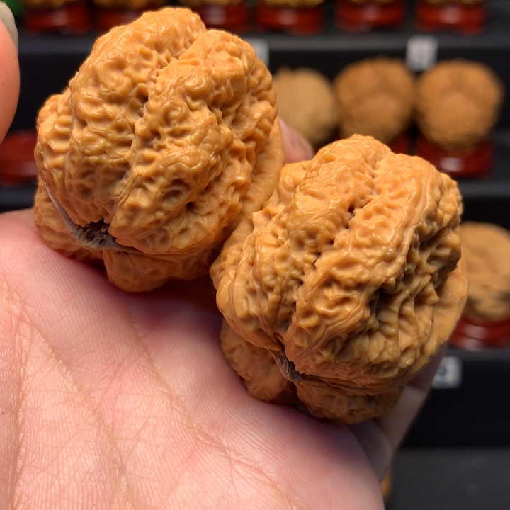 文玩核桃把件臻龙43尺寸