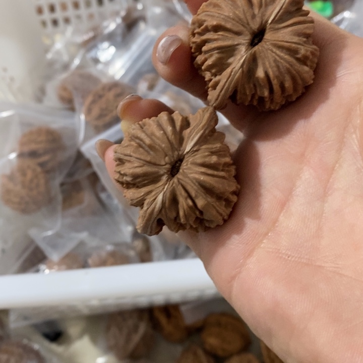 L****?四座楼四座楼四座楼