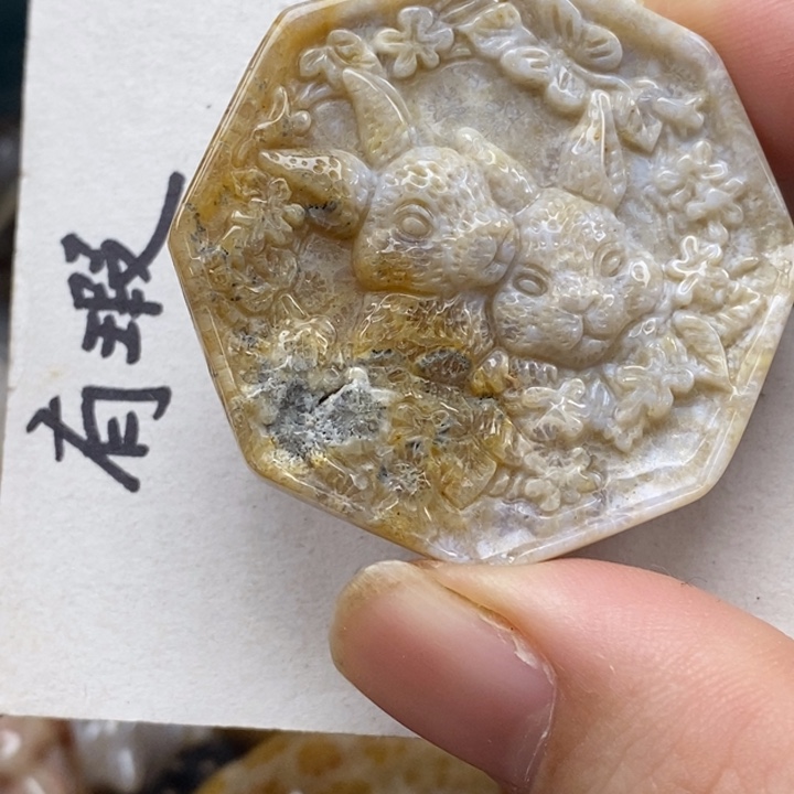 硅化珊瑚（珊瑚玉）未镶嵌颈饰