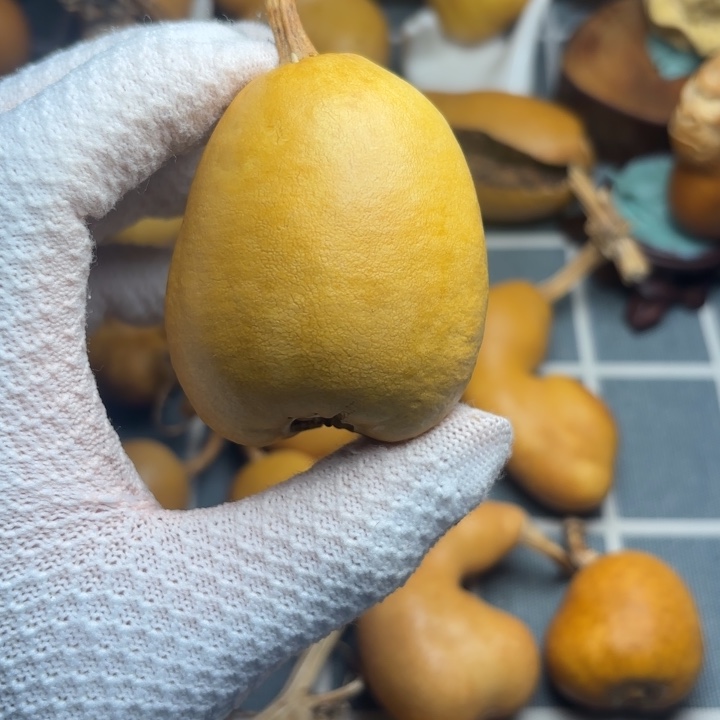 *****葫芦裂66666666666666