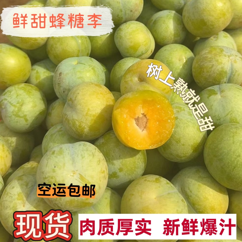 贵州安顺蜂糖李新鲜现摘应季水果甜脆好吃