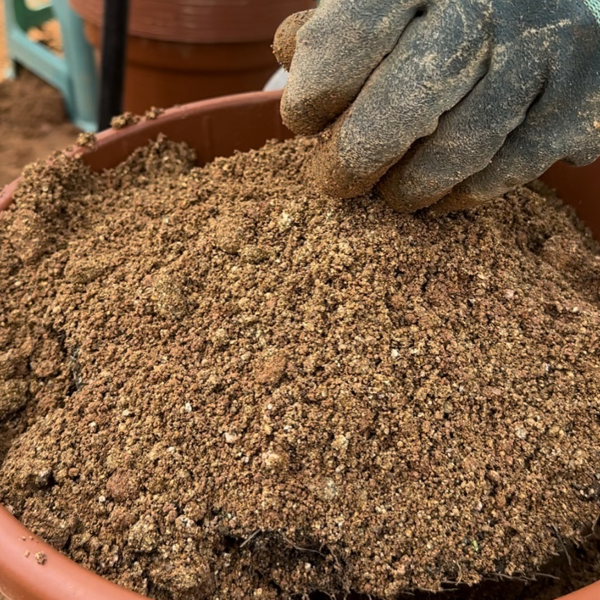 小朱云茶专用沙土绿植5公斤（发极兔快递）茶花土专用土颗粒土土壤