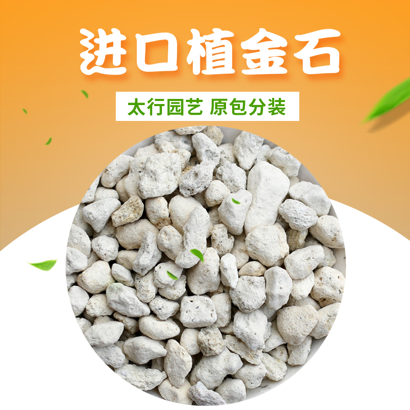 植金石颗粒种兰花铺面石植料盆面透气日本进口蝴蝶兰石龟背竹热植