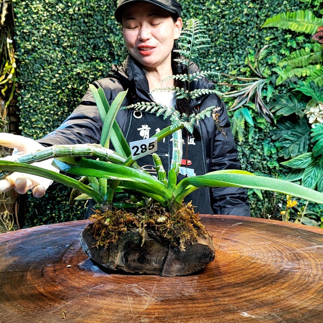 【闪购商品】285玫瑰，狐尾兰花