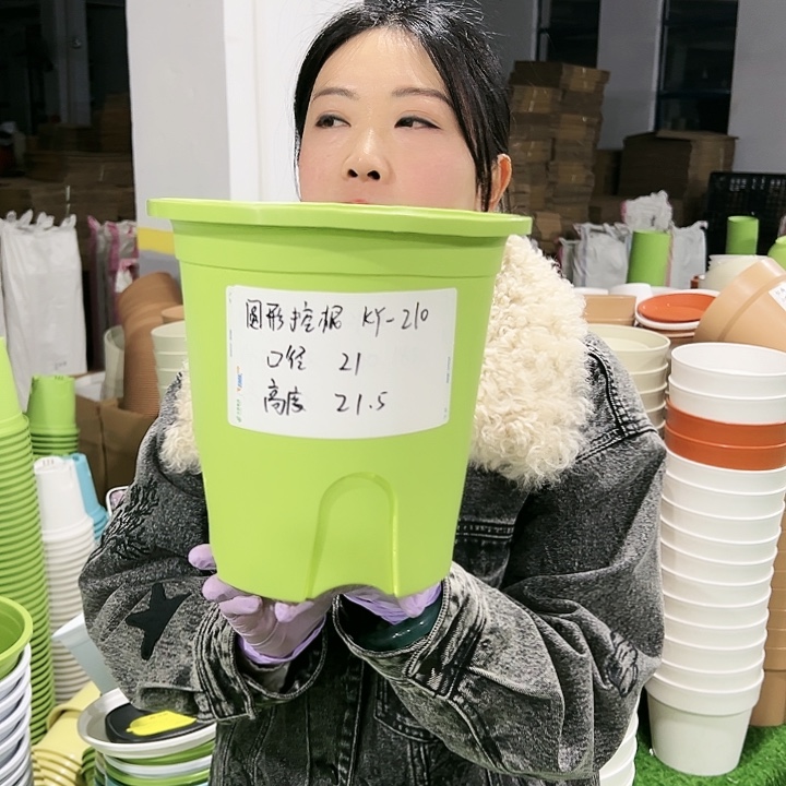 正品圆控口21高21果绿色8只无托