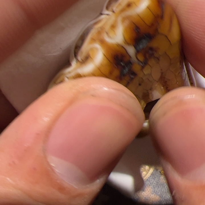 DIY玻璃我也有很多，