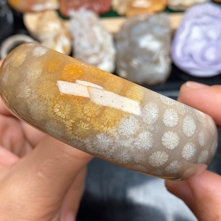 硅化珊瑚（珊瑚玉）手镯未镶嵌59