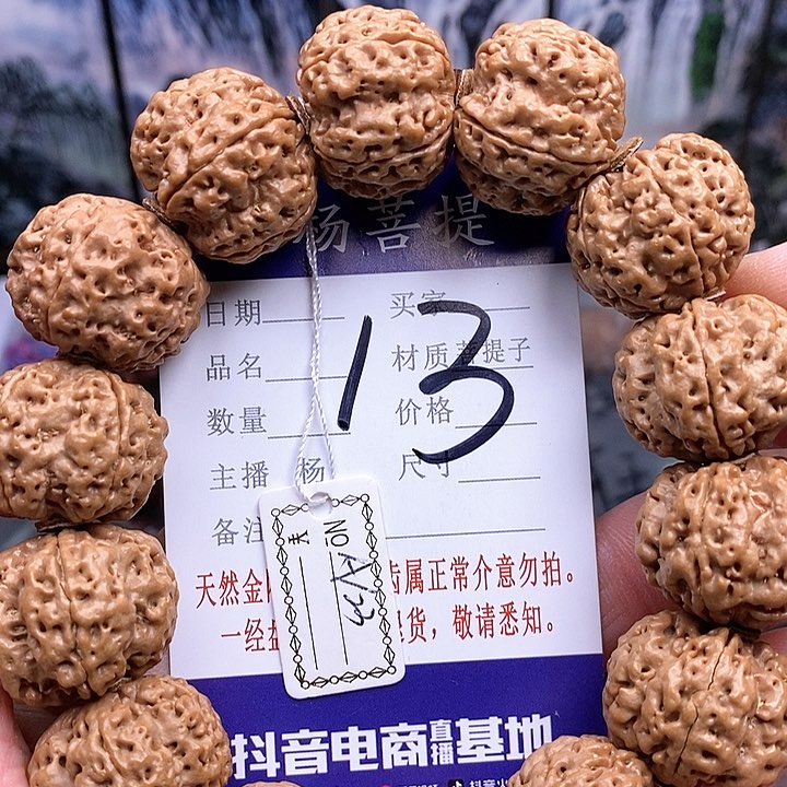 手串金刚菩提23双龙