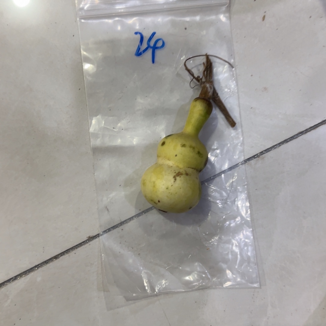 人***痴葫芦乐乐利润摸秃咯哦哦乐乐