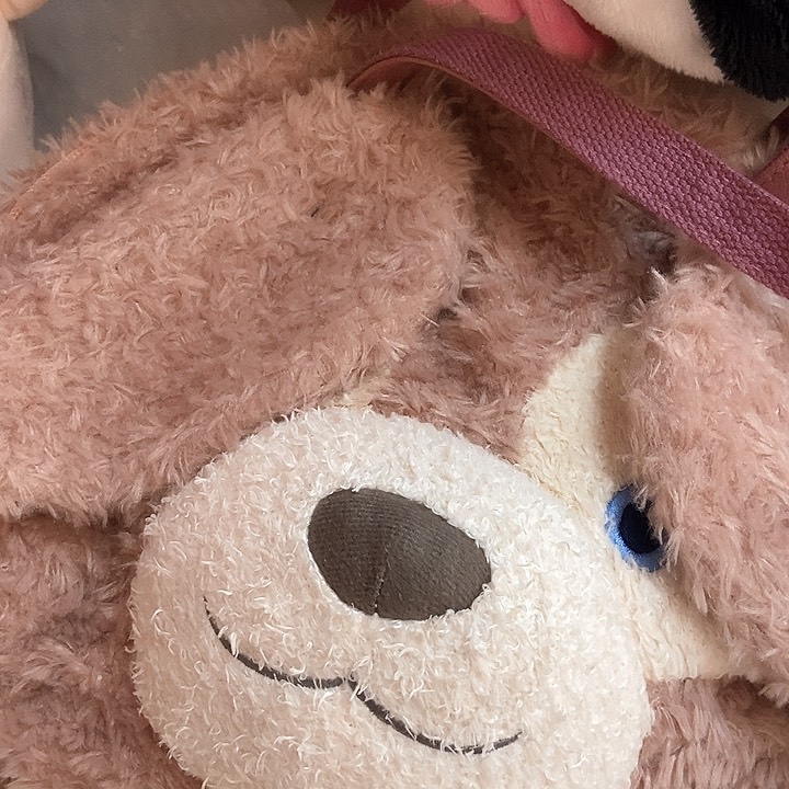 毛绒可爱毛绒可爱包哦