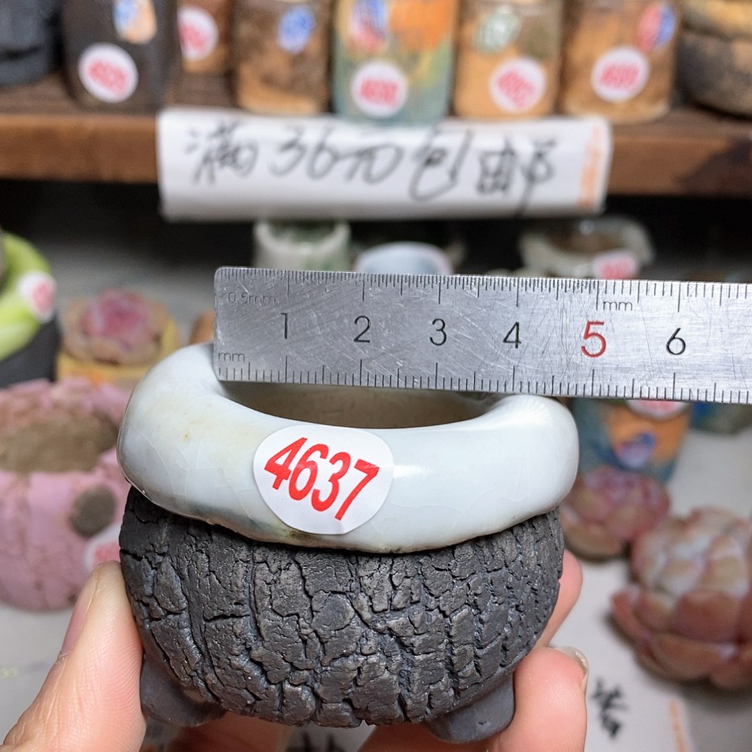 红陶拍5送一个小