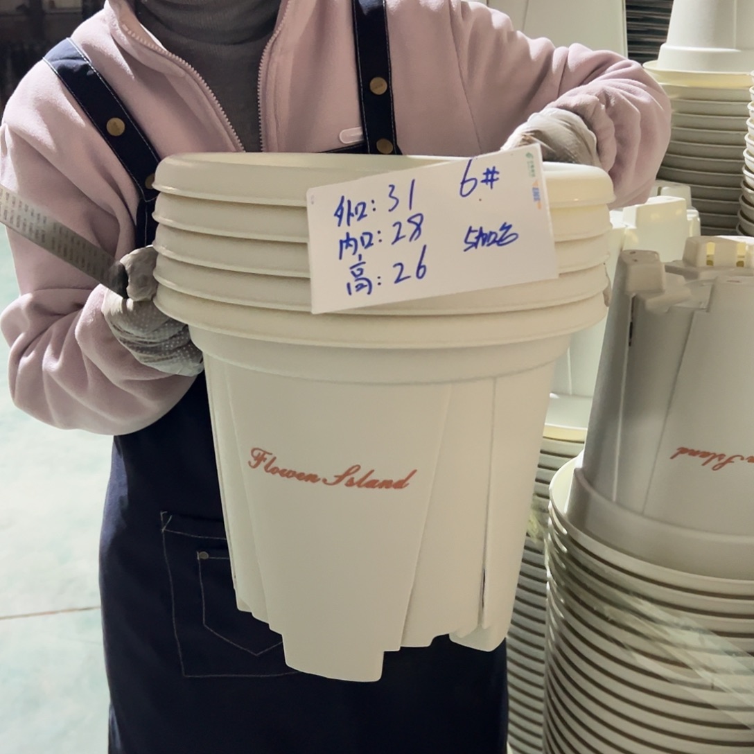 青山盆6#米白色5个无托