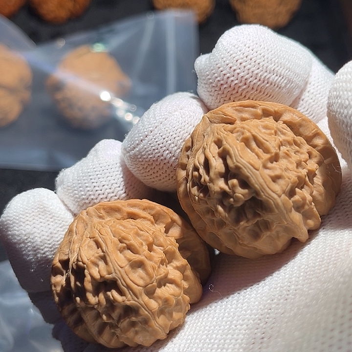 把件文玩核桃白狮子