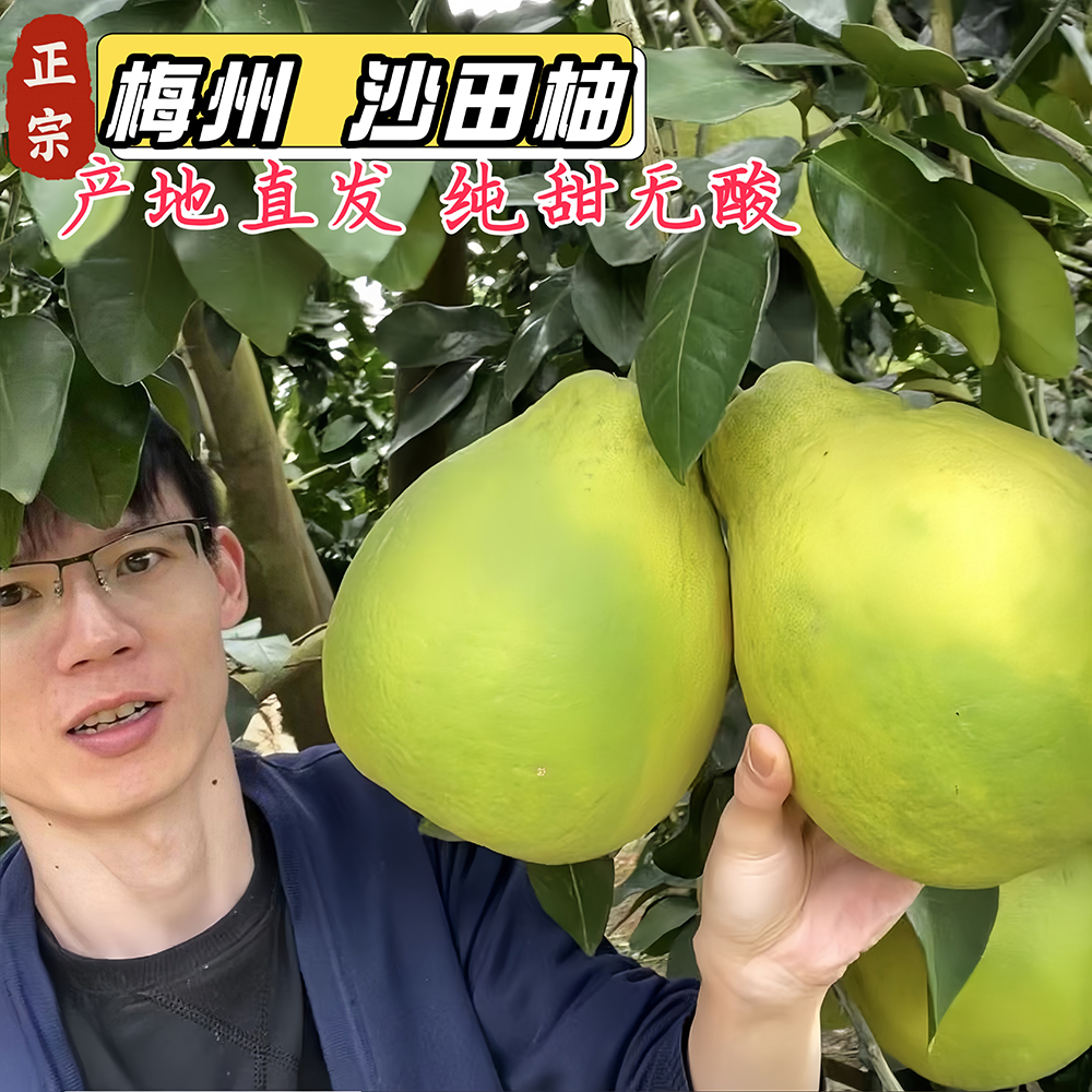 【老树更甜】梅州沙田柚产地直发纯甜无酸自然成熟现摘现发