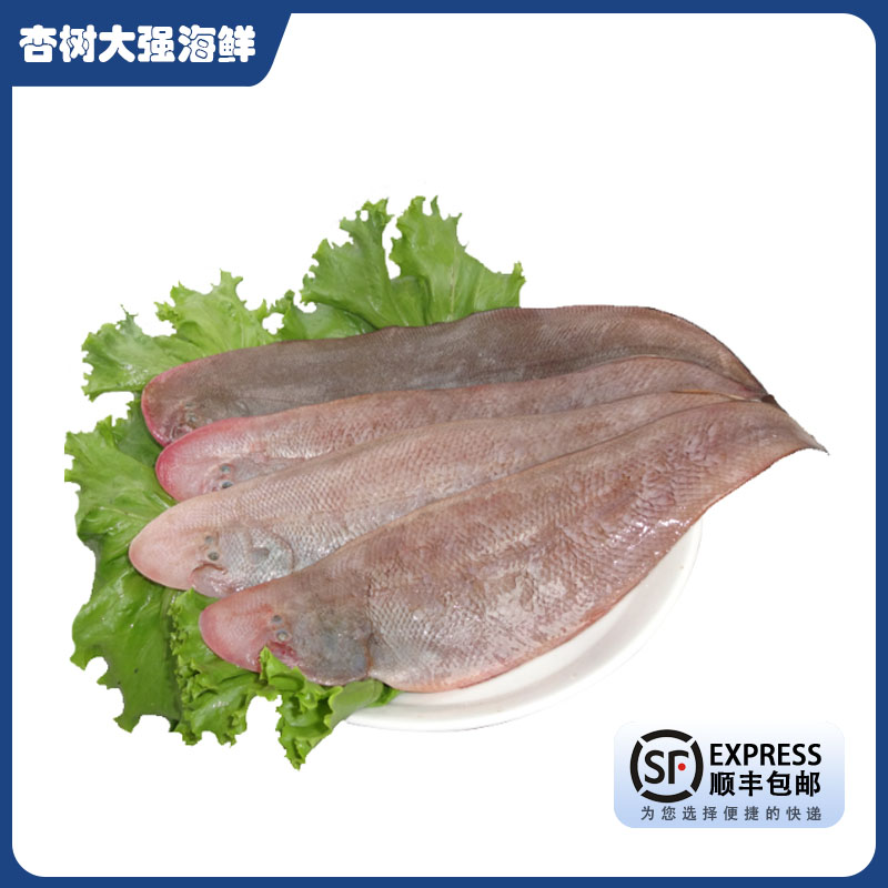 大连本地 野生 凤板鱼 牛舌鱼  四斤 干冰速发顺丰发货