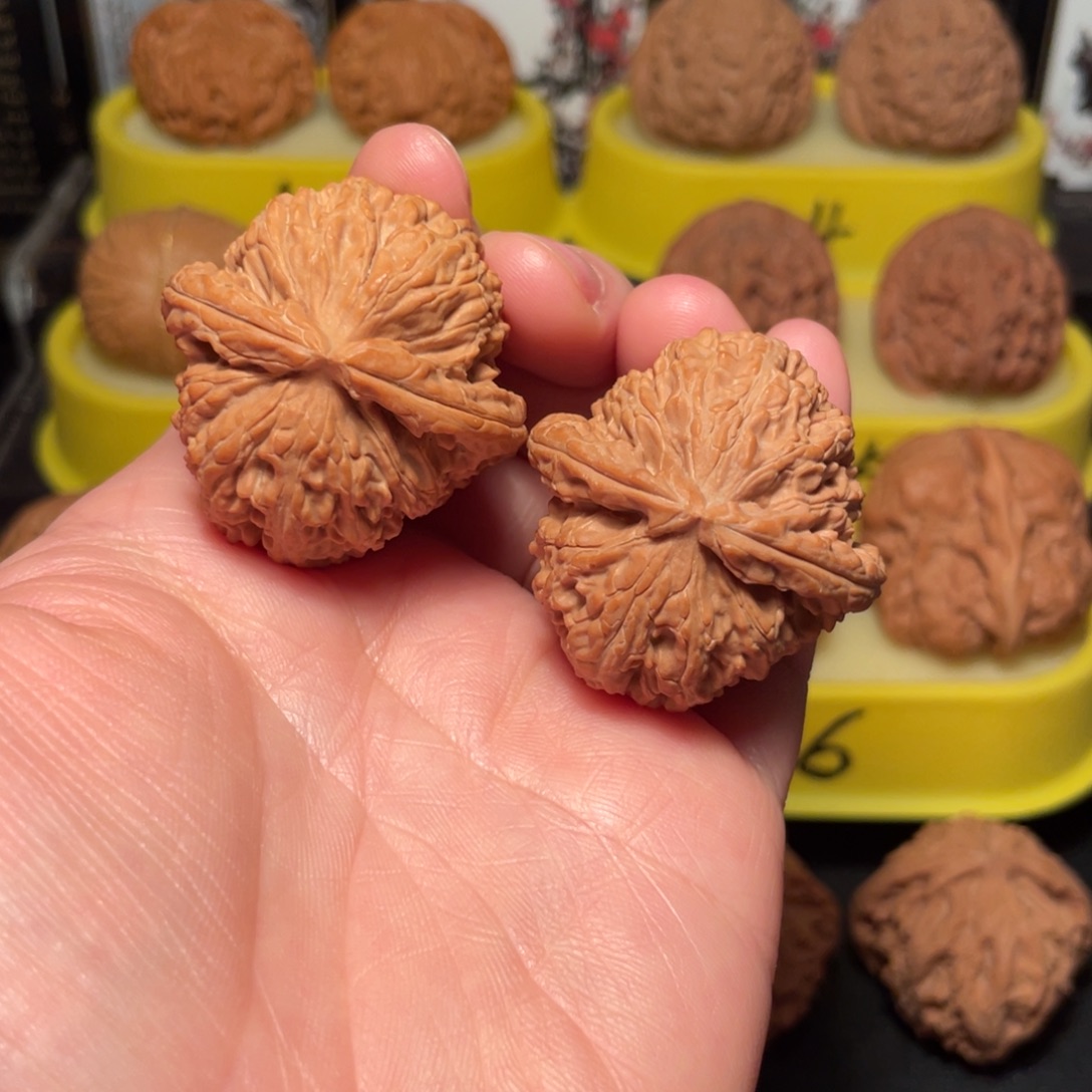 文玩核桃把件37尺白狮子核桃