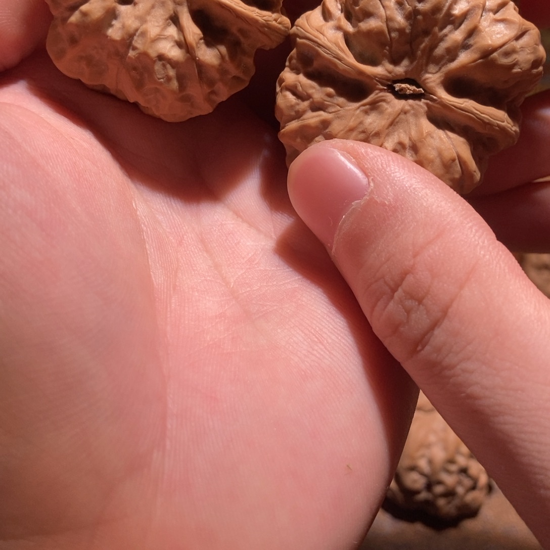 不****吊坠文玩核桃蛤蟆头D05