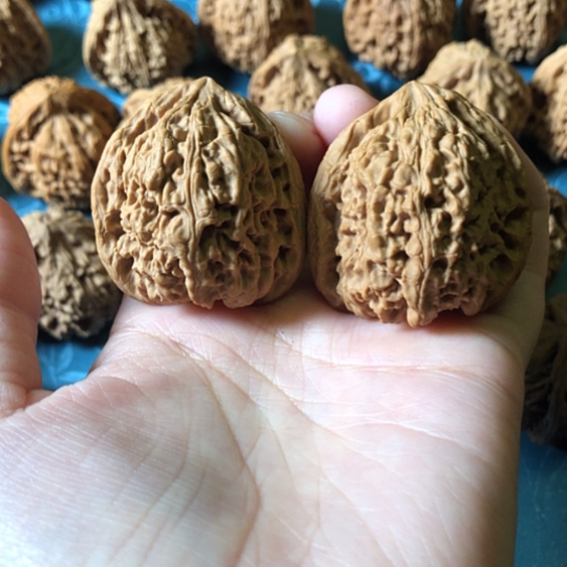 【闪购商品】文玩核桃把件一大将