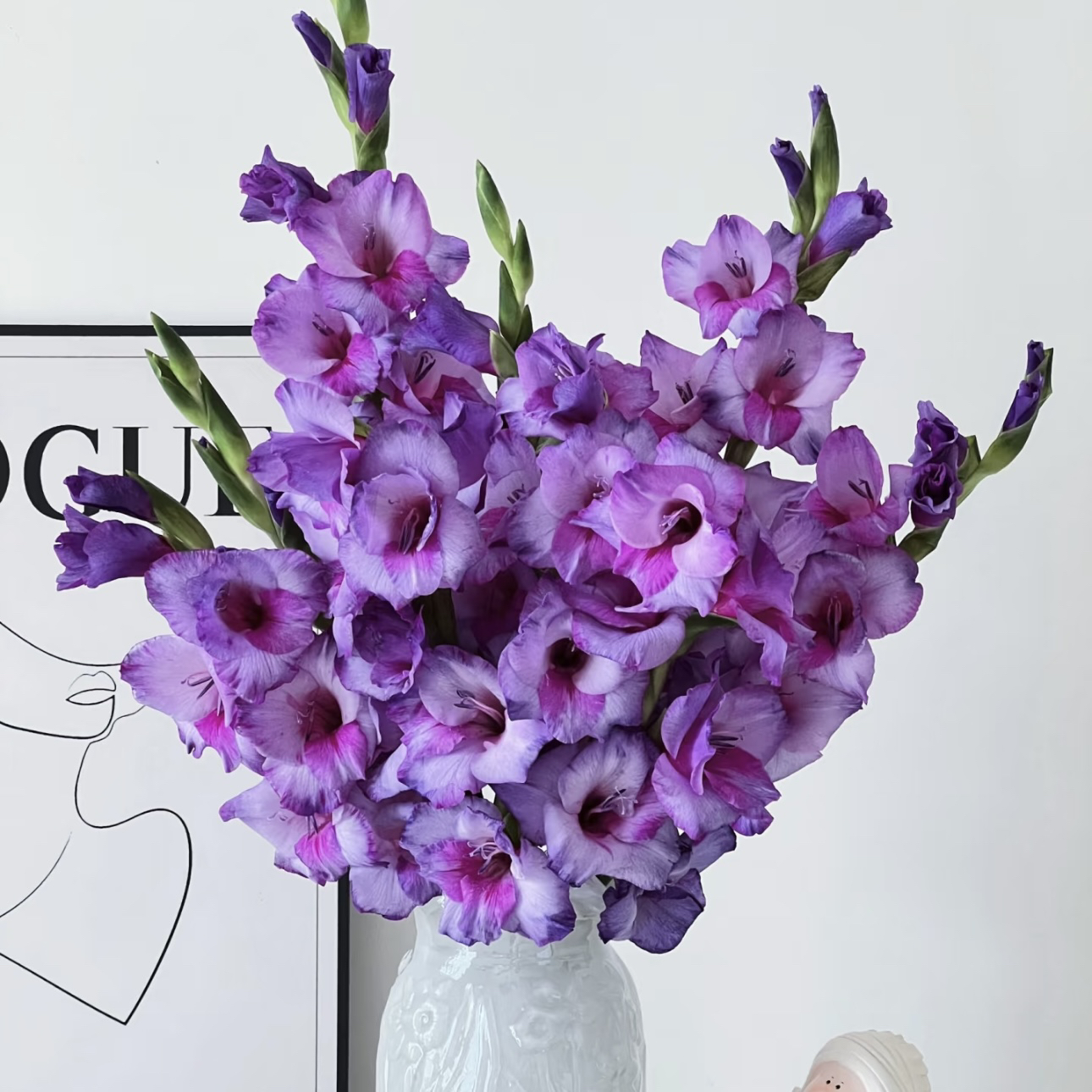 【杨鹏鲜花】紫苏 剑兰 云南鲜花包邮