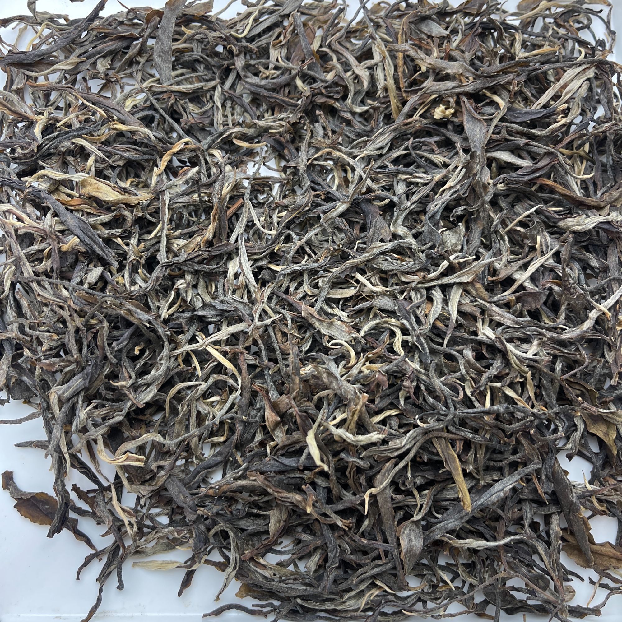 23年景谷塘坊村旧家箐古树茶 普洱茶生茶（散茶）100g A107号