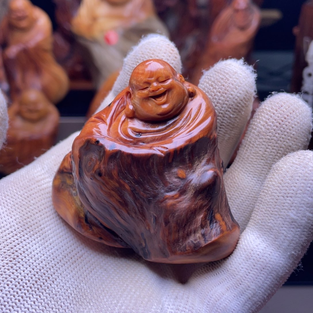 柏木（崖柏）3333333333343333