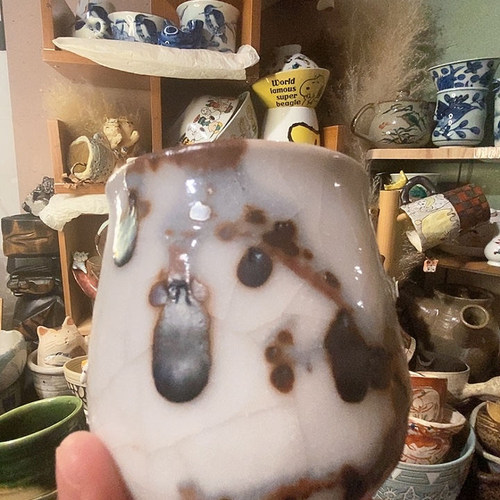 搪瓷no退no换雪志野