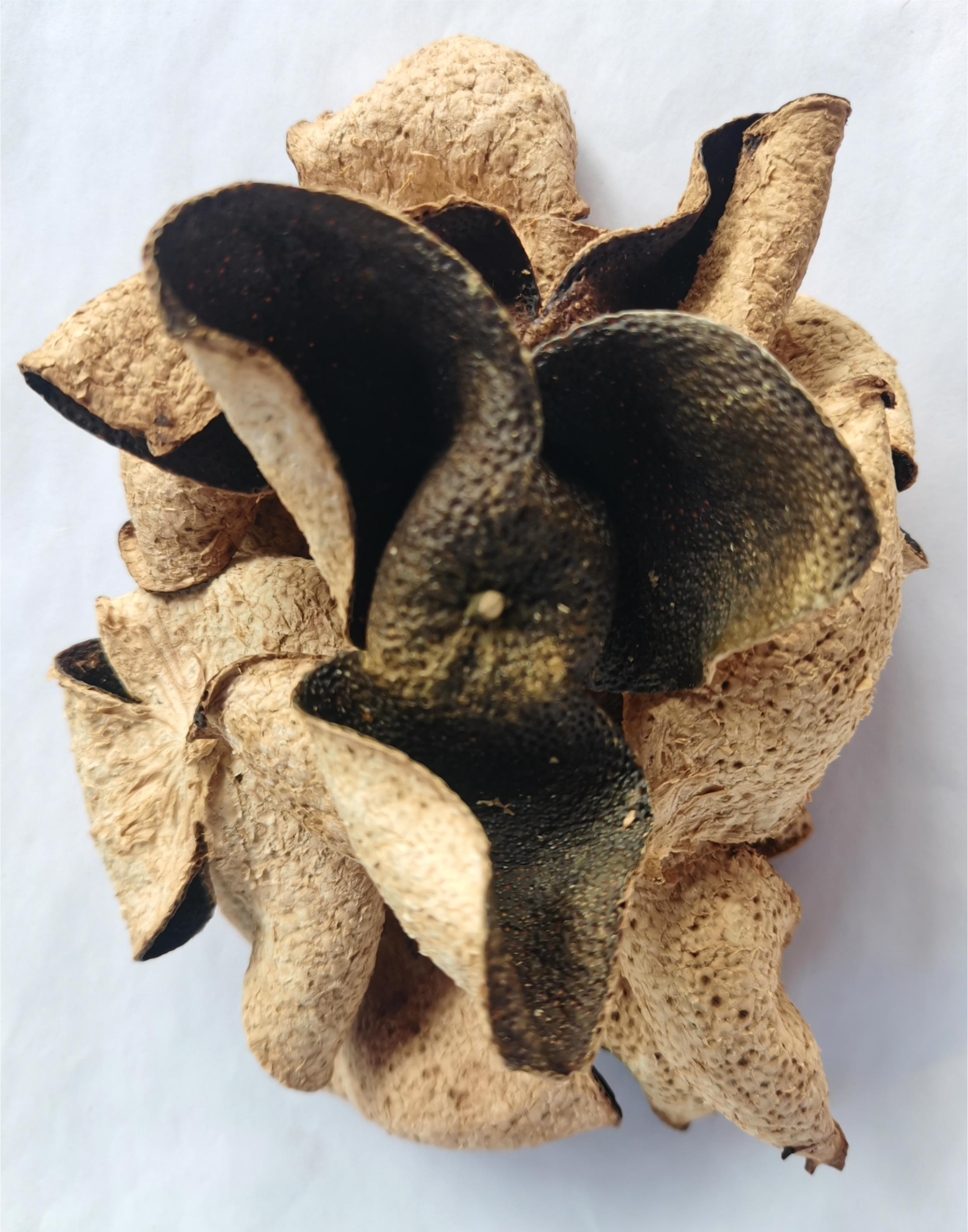 广东新会陈皮，梅江2015年大青干仓陈皮代用茶