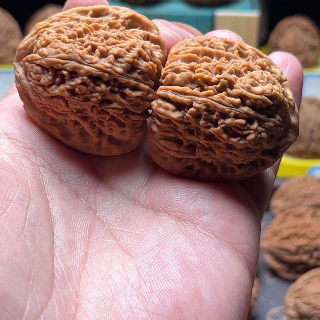 把件文玩核桃蚂蚁碎纹南疆石