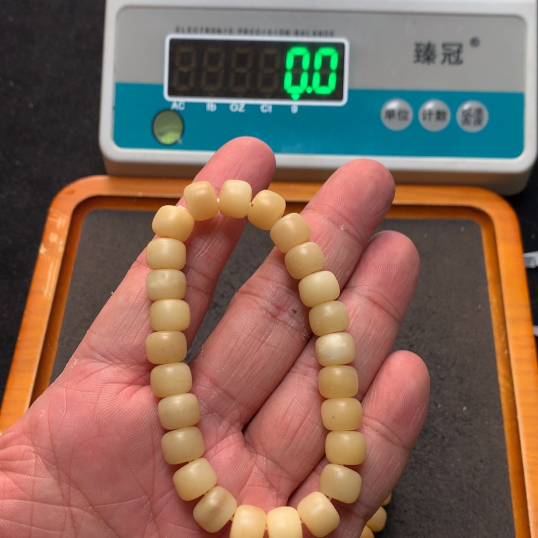 猛犸猛犸我在我我我11