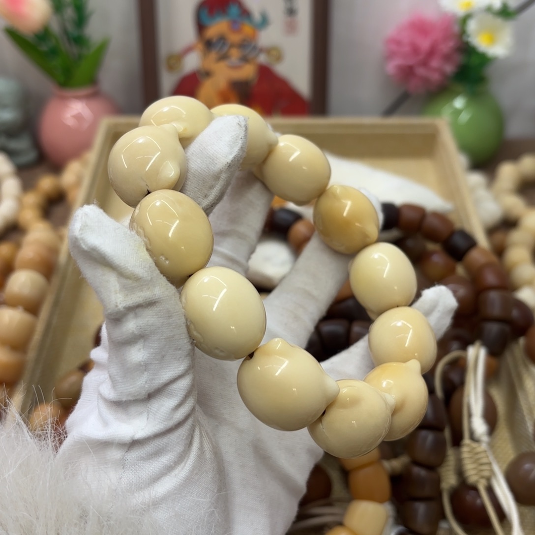 吊坠菩提根/象牙果牙果大瑕疵机抛173