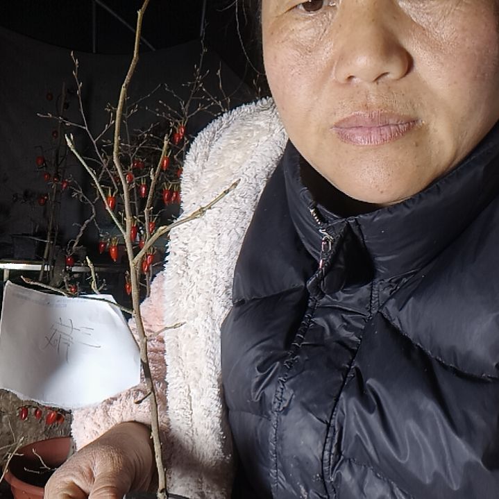꒰***꒱无花朵12545558989