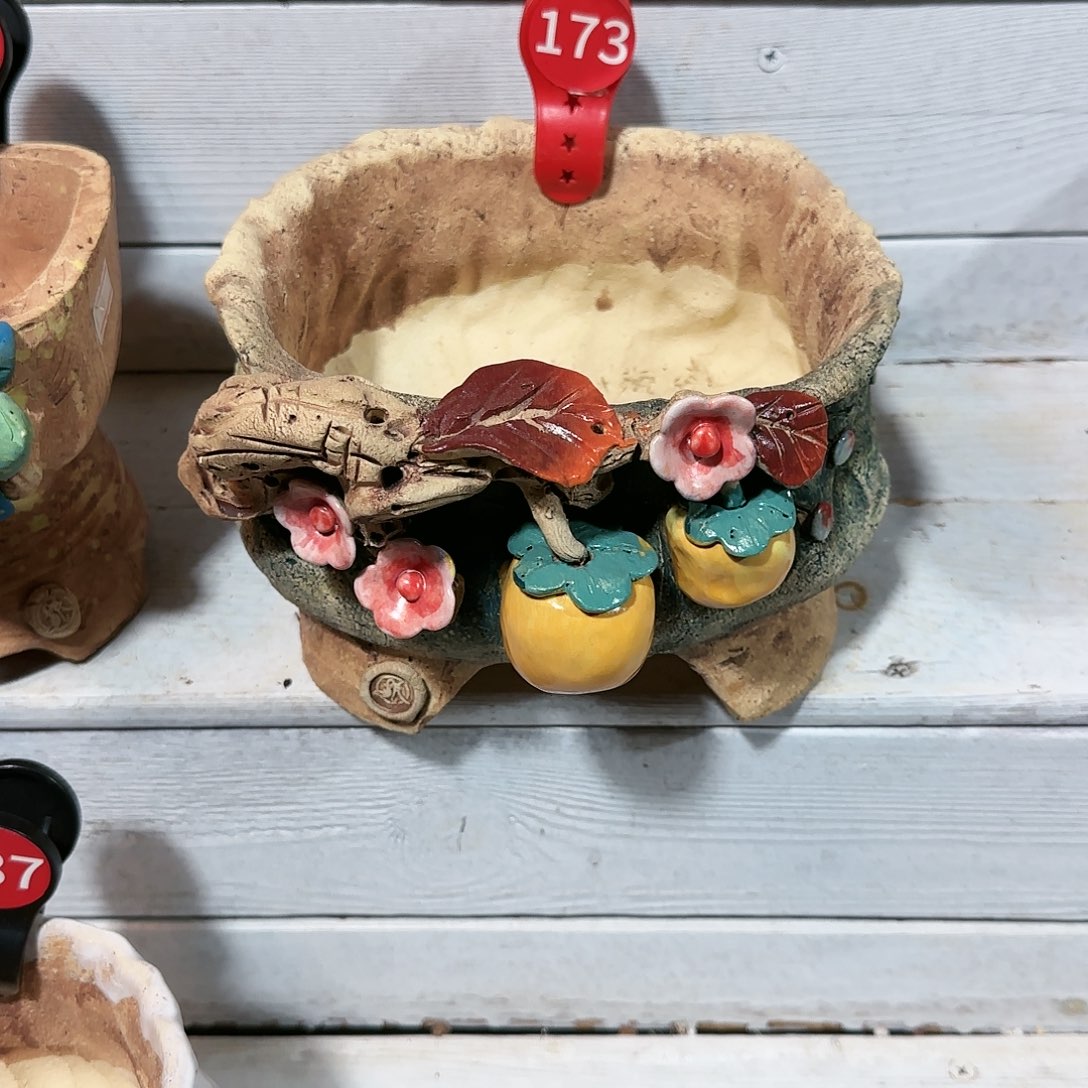 蔡**蔡蔡蔡。盆88          盆