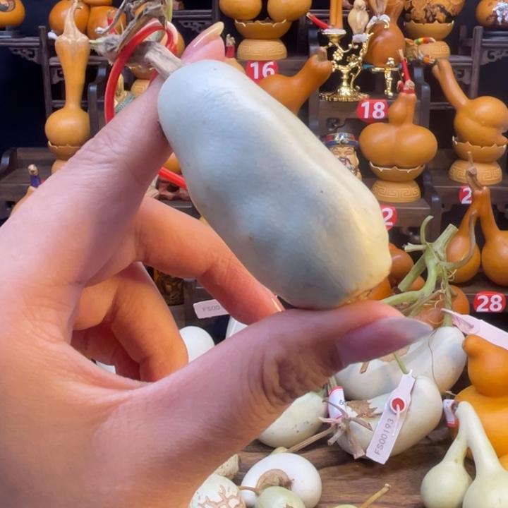 我****a腰子葫芦双骑葫芦