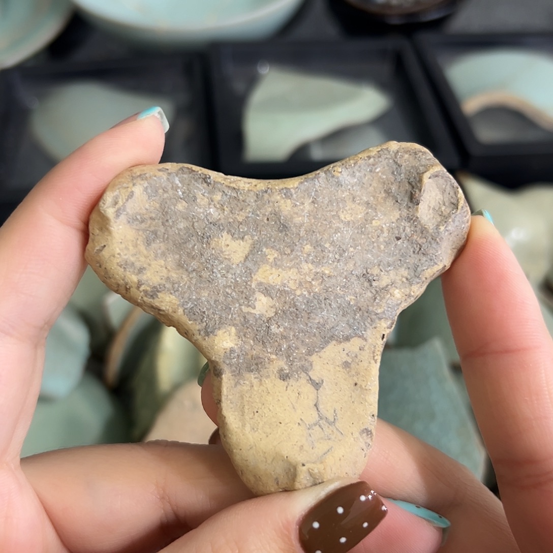 瓷片瓷瓷瓷瓷瓷瓷瓷瓷瓷